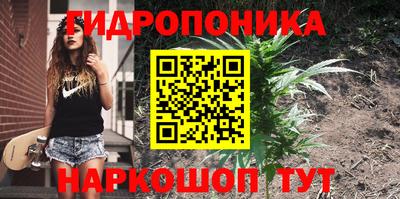 ECSTASY Краснознаменск