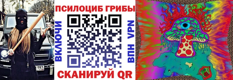 hydra зеркало  Славгород  Псилоцибиновые грибы Psilocybe 