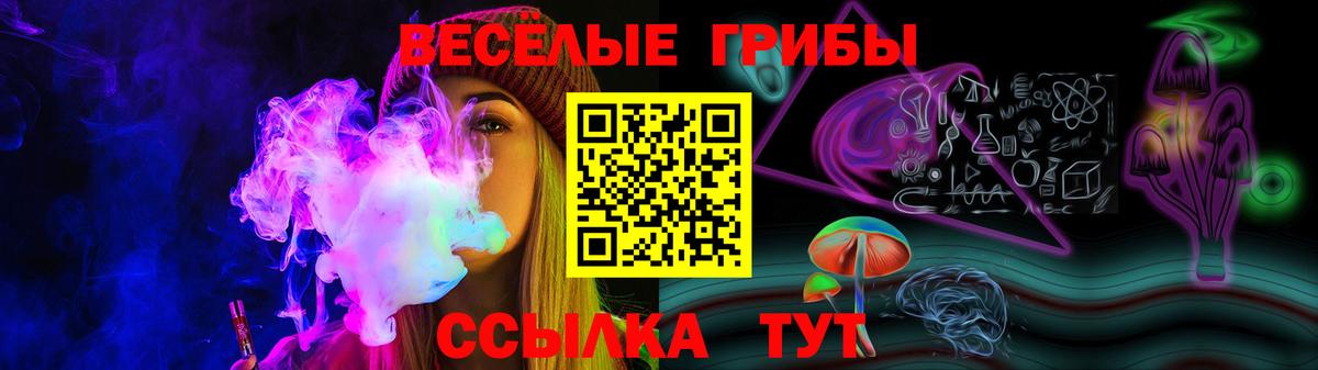 Галлюциногенные грибы Psilocybe Славгород